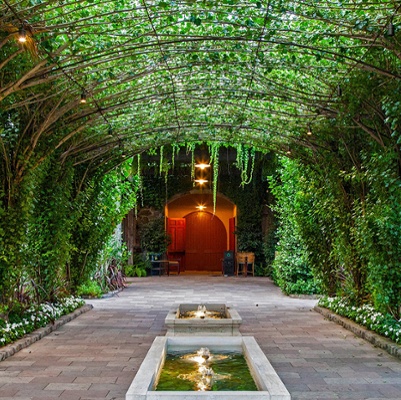 Caymus Vineyards