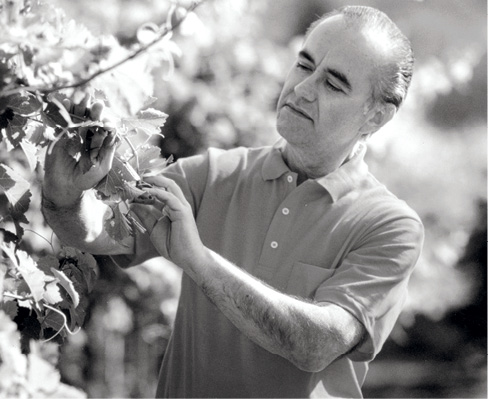 Trinchero: The American Dream Realized